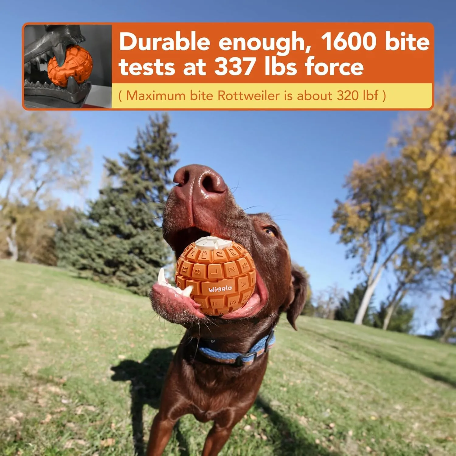 Tough Durable Dog Ball Toy for Aggressive Chewers, Natural Rubber Dog Toy for Large/Medium Dogs, 3.5" Diameter Dog Ball Chew Toy, Helps with Dog Separation Anxiety, Dishwasher Safe, Orange